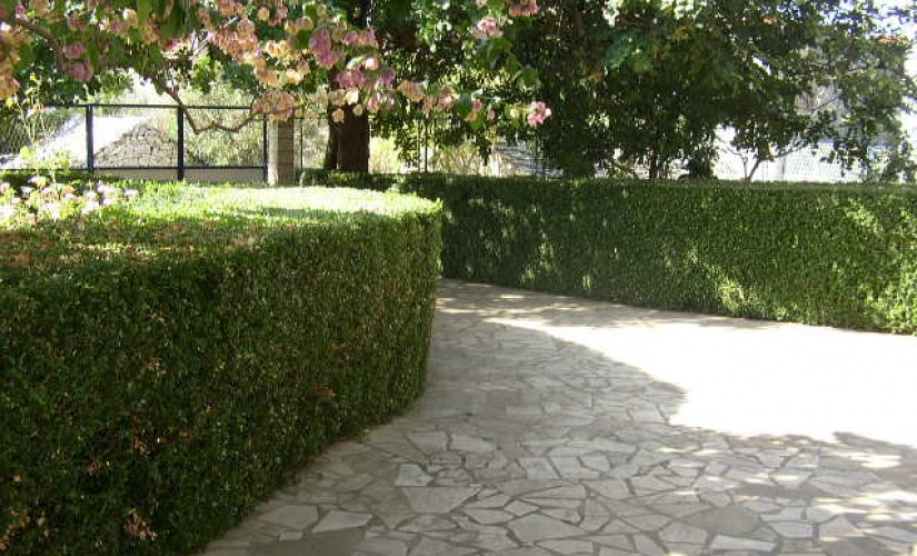 Villa Nikola, A4+1 Nr. 2