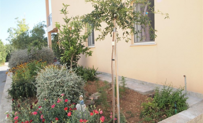 Villa Hana, A2+2 Nr. 2