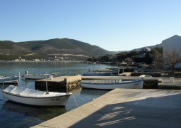 Žuronja